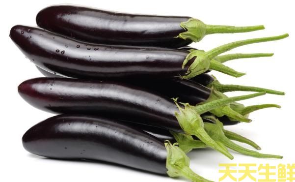 ũƷ͹˾㣬ӵЩ(ͼ1)