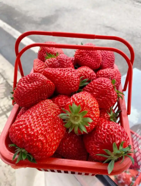 2024年最脏的水果排名(图1) 2024年最脏的水果排名(图1)